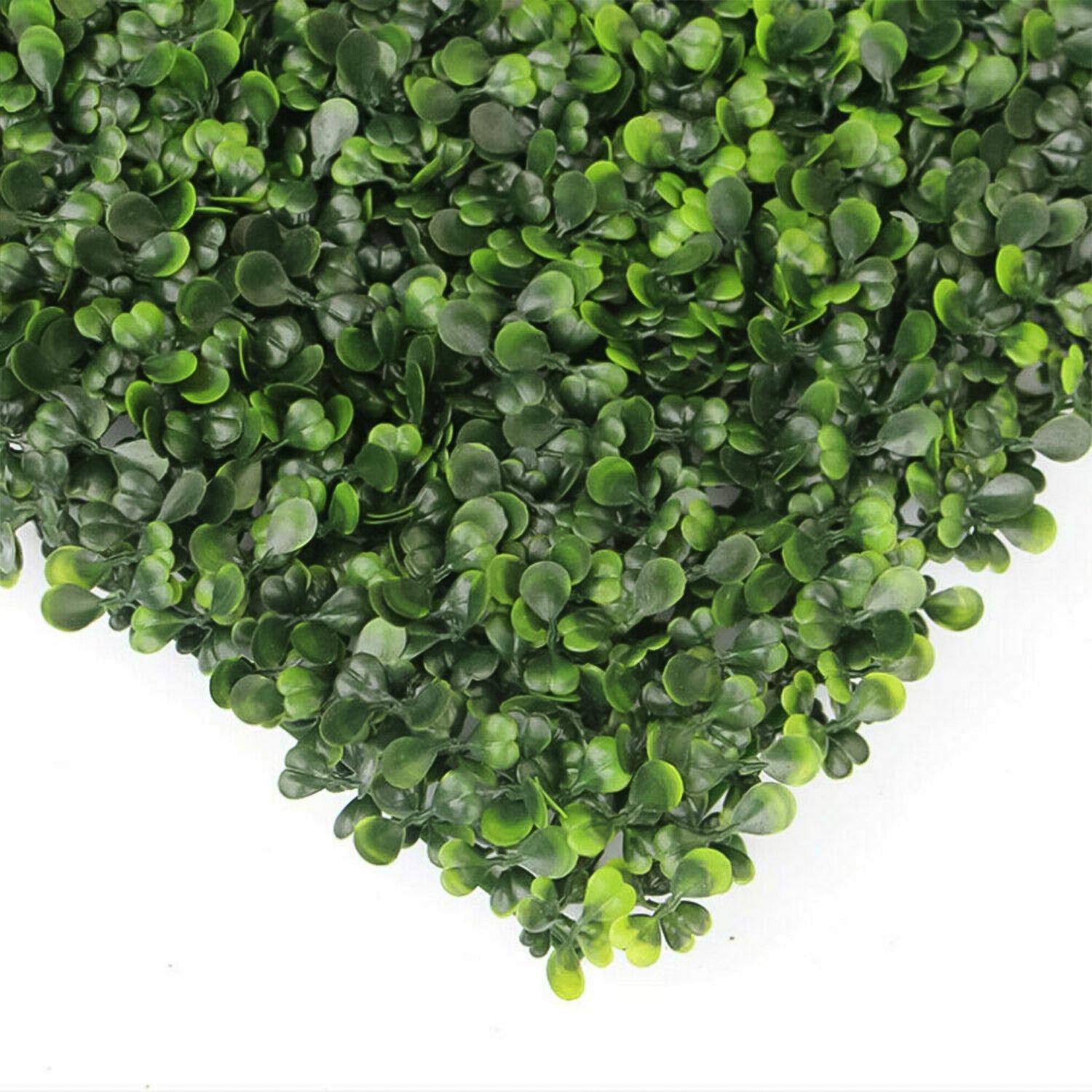 Plastic Wall Artificial Plant Base (60×40 CM / 1 Pc) Plastic Wall Artificial Plant Base (60×40 CM / 1 Pc)